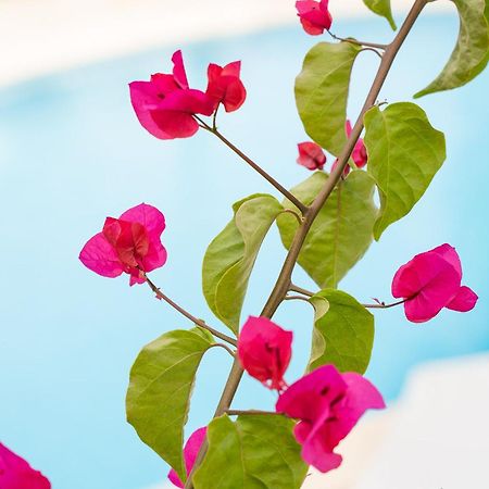 פגוארה Apartamentos Los Tilos מראה חיצוני תמונה